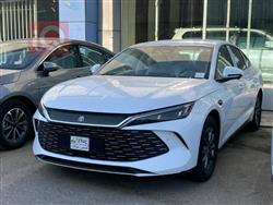 بي واي دي كوين L DM-i